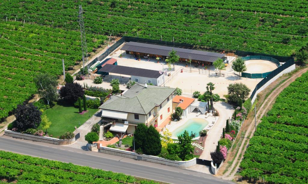 Casa Costa Relais B&B Monteforte d'Alpone Exterior photo